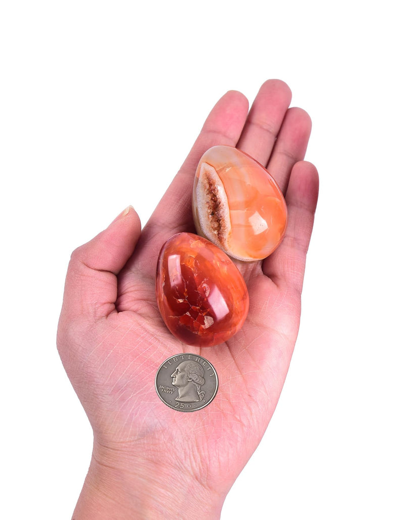 AMOYSTONE Red Agate Eggs Set of 4 (Polished Banded Agate) - Natural Gemstone Specimens with Wooden Base for Display & Collection (1.5-2 Inch, 2.8 oz) 1.5-2 Inch Red Agate Mini