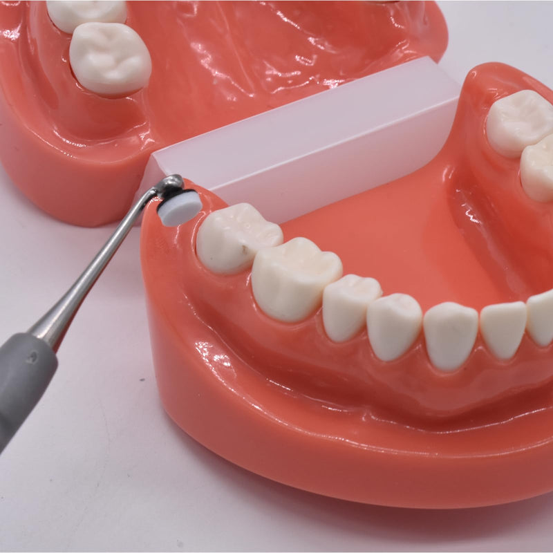 [Australia - AusPower] - 1 Piece Dental Composite Resin Filling kit Molding Tools,with Plastic Handle and Stainless Steel Tips,Dental Instruments (Light gray) Light gray 