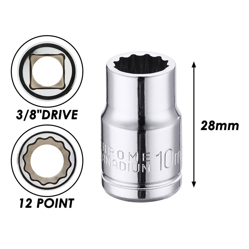 [Australia - AusPower] - MIXPOWER 6PCS 3/8"Drive 10mm Deep&Shallow Socket, CR-V, Metric, Mirror Finish, 6 Point & 12 Point 3/8"Drive(6PCS)Silver 