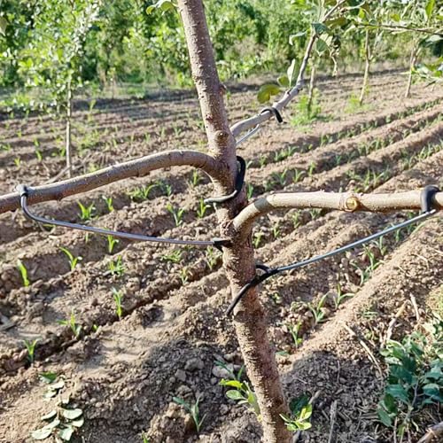 Fruit Tree Branch Spreader 20 Pack Versatile and Durable Solution for Tree Supports Branches Extension (10 Inch) 10"