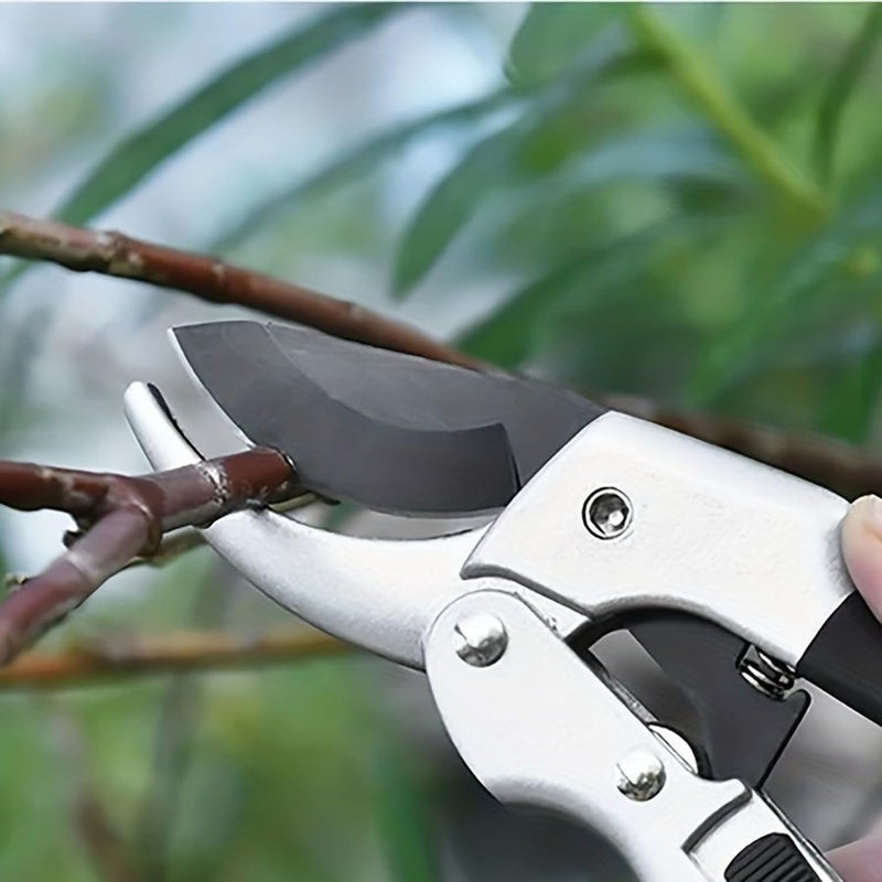 garden shears, Japanese scissors gardening tools, plant pruners for flower, rose, stem, fruit tree, florist cut fresh floral clippers, sharp pruning snips (Silver - 2 pack, 2)