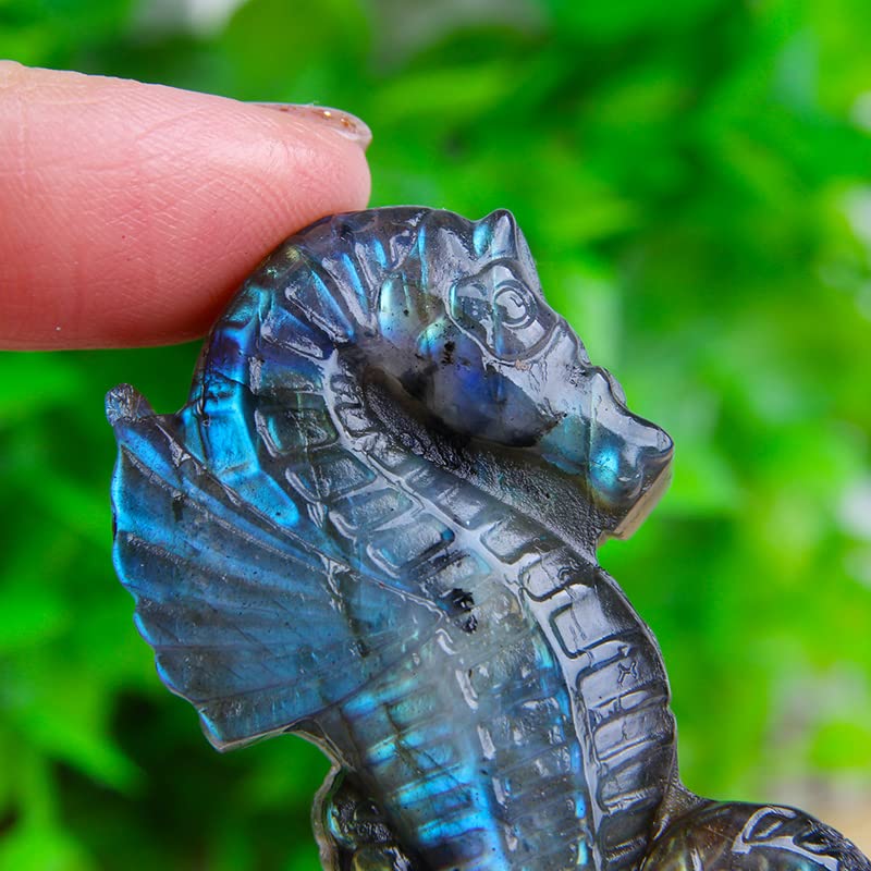 Wixine1Pcs Labradorite Hand Carved The Sea Horse Quartz Crystal Healing