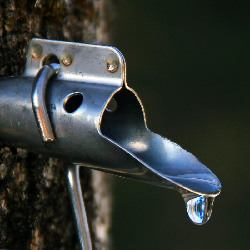 [Australia - AusPower] - Maple Syrup Tree Tapping Kit - Includes Maple Syrup Spiles and Maple Tree Tapping Drill Bit for Tap - Stainless Steel Spiles with Bucket Hook - Maple Tree Tapping Kit - Maple Syrup Supplies (6) 6 