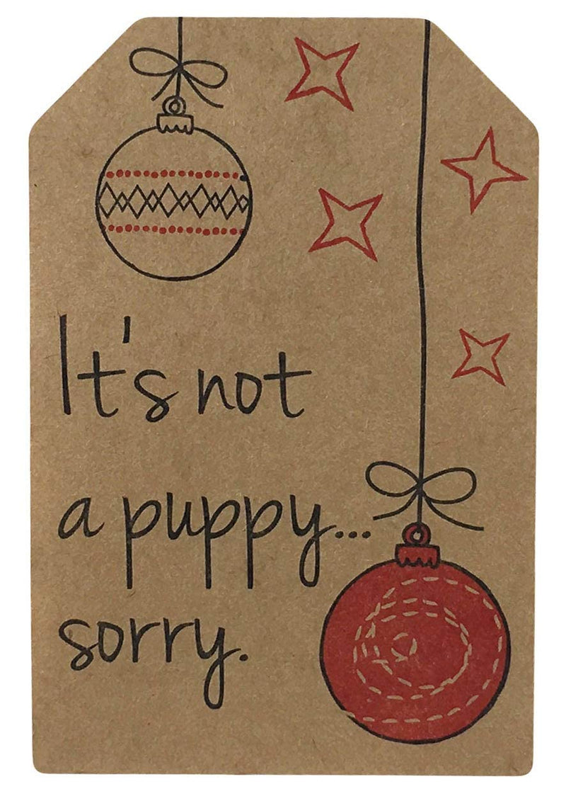 Natural Kraft Sarcastic Funny Gift Tags Holiday Present Stickers 2 x 3 Inch 100 Total Labels