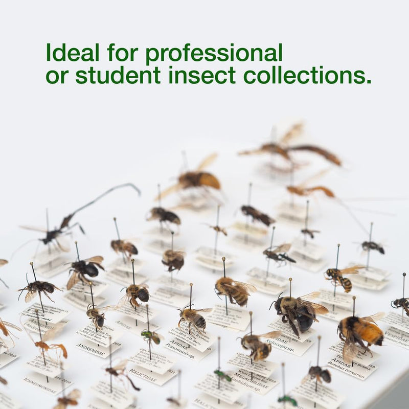 [Australia - AusPower] - Insect Pinning Box for Entomology | 13" x 9" x 2.5" | Includes White Foam to Hold Pins in Place | for Butterfly, Moth and Bug Collections and Specimen Displays 1 