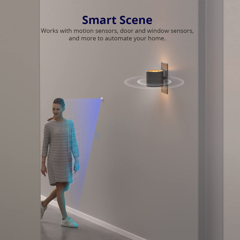 SONOFF MINIR4 10A Smart WiFi Extreme Wireless Light Switch,Universal DIY Module for Smart Home Automation Solution, Compatible with Alexa & Google Home, No Hub Required,4 Pack 4