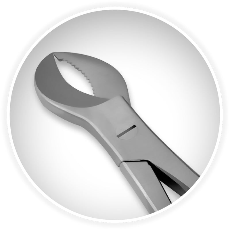 [Australia - AusPower] - Stainless Steel Dental Pliers Plaster Nippers Cutter Dentist Lab Equipment, Cow Horn Jaws, Serrated Blade, Spring Action 8" 