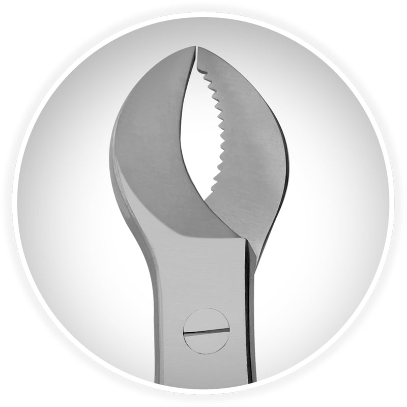 [Australia - AusPower] - Stainless Steel Dental Pliers Plaster Nippers Cutter Dentist Lab Equipment, Cow Horn Jaws, Serrated Blade, Spring Action 8" 