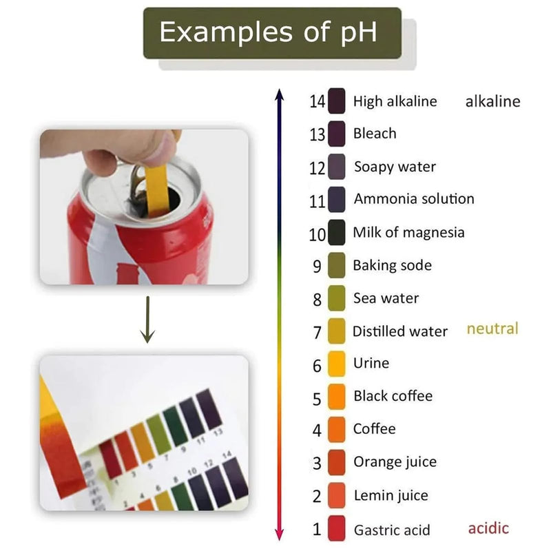 [Australia - AusPower] - 10 Pack PH Test Strips Set 800Pcs, pH 1-14 Litmus Paper pH Indicator Strips, Acid Alkali Test Paper for Teaching, Student, Chemistry Experiment, Saliva Urine Water Soil & Diet pH Monitoring 10Pack pH Test Strips 