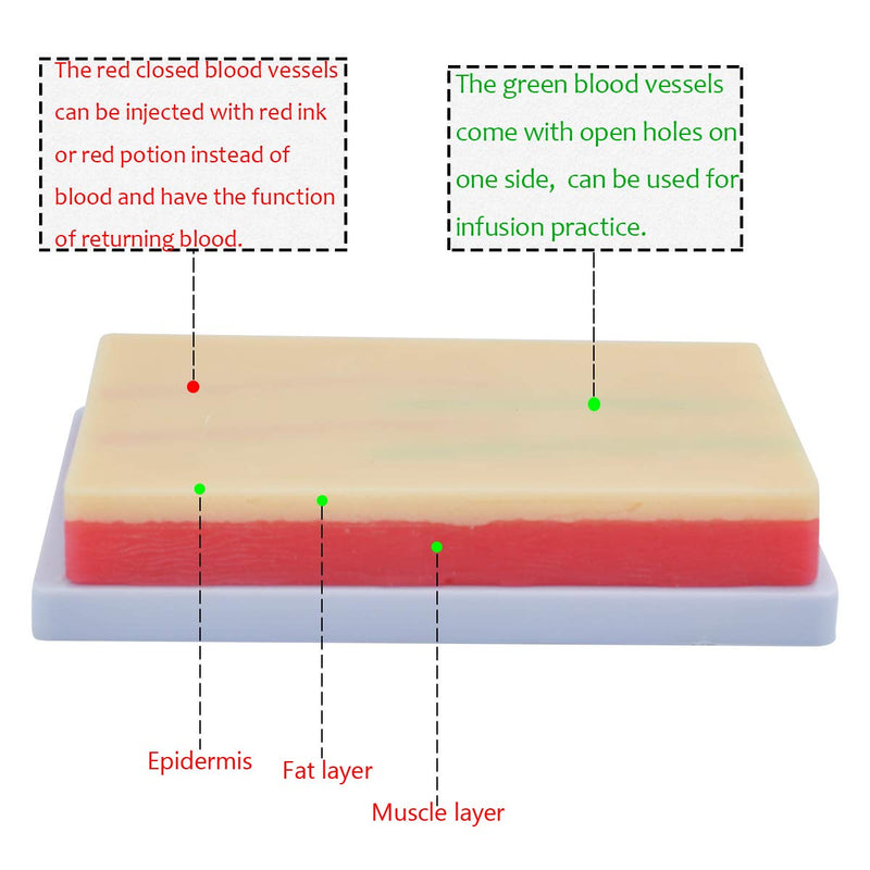 IV Training Kit, Phlebotomy Practice Kit ???????? ??????????????, Venipuncture IV Injection Training Pad Starter Kit Blood Draw Practice kit for Nursing Student Medical Education