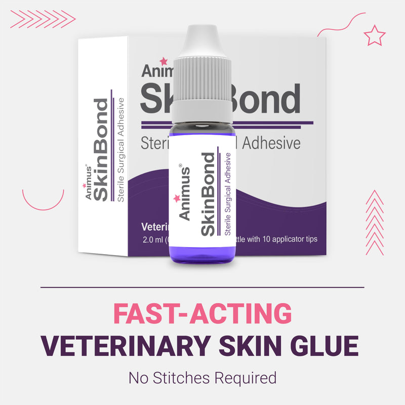[Australia - AusPower] - Animus SkinBond Animal Skin Glue | Quick-Setting Surgical Glue | Fast-Acting Bleeding Control & Wound Closure | Flexible & Waterproof Wound Sealer | 2ml & 10 Applications - Made in The USA 