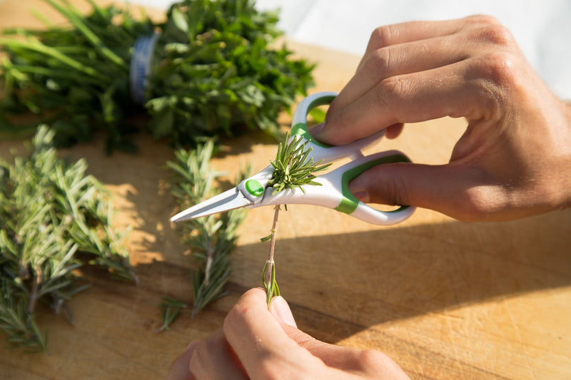 [Australia - AusPower] - Zyliss Heavy Duty Home & Kitchen Herb Shears Scissors with Innovative Stem Stripper, Versatile Kitchen Shears for Trimming Weeds, Flower Buds & More - White/Green - 8.5 x 4.2 x 0.4 inches Herb Snippers 