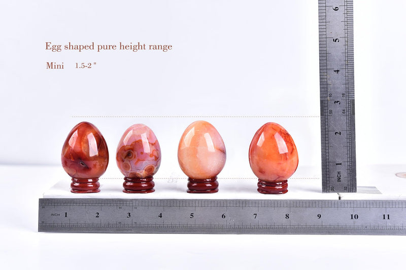 AMOYSTONE Red Agate Eggs Set of 4 (Polished Banded Agate) - Natural Gemstone Specimens with Wooden Base for Display & Collection (1.5-2 Inch, 2.8 oz) 1.5-2 Inch Red Agate Mini