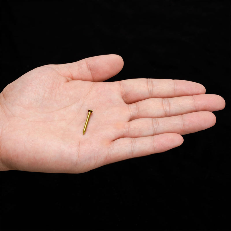 [Australia - AusPower] - Pure Brass Nails, 0.8 Inch, Bag of 100 - Architectural, Interior Design, Doors, Furniture Cabinet Customization Hardware 
