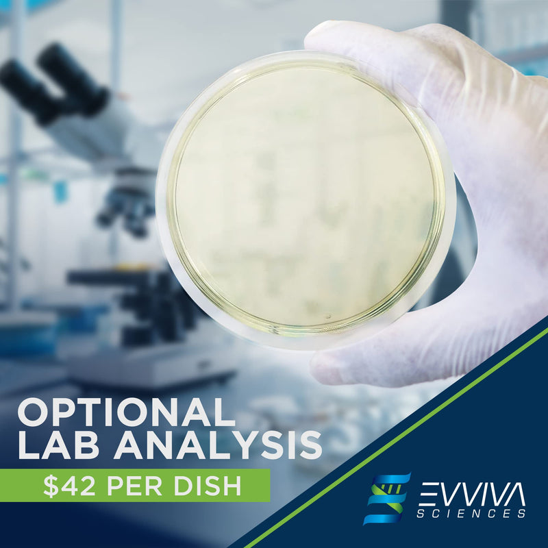 [Australia - AusPower] - Evviva Sciences Mold Test Kit for Home - 10 Simple Detection Tests w/Optional Lab Analysis, Test HVAC System, Home Surfaces, & Indoor Air Quality Testing Kit - Downloadable Identification Guide 