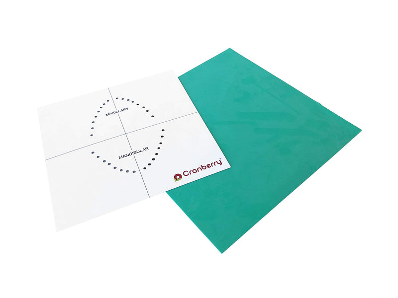 [Australia - AusPower] - Cranberry USA CR8066 Smart Dam, Latex Powder-Free, Spearmint Scented, 6x6, Green, Pack of 36 