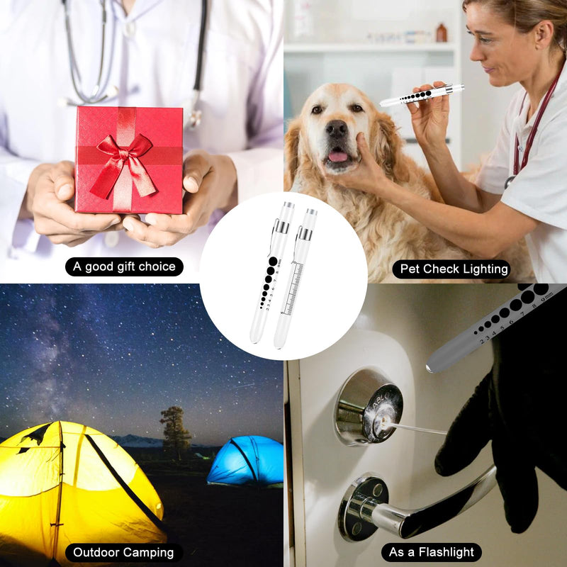 [Australia - AusPower] - Stethoscope Carrying Case Hard Stethoscope Case Compatible for 3M Littmann Classic III and Pen Lights for Nurses Pen Light with Pupil Gauge Reusable Penlight Medical Pen Light for Nurse 
