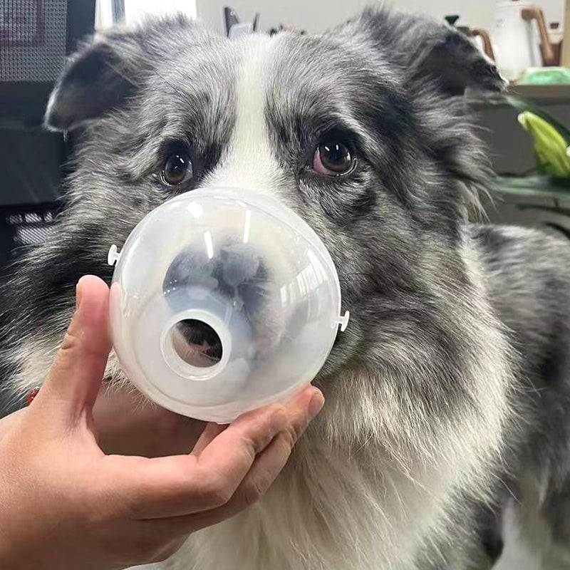 [Australia - AusPower] - Lying Down Nebulizer Cup and Inhaler Mask for Cats and Small Dogs, Oxygen Mask for Pets (No Nebulizer Device) (S) S 