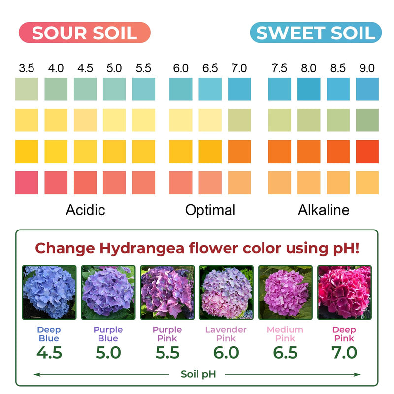 [Australia - AusPower] - Soil pH Test Kit: Upgraded 125 Soil pH Test Strips with Measuring Cylinders for Accurate Testing pH Level of Garden Lawn Grass Flower Vegetable Compost Dirt (125) 