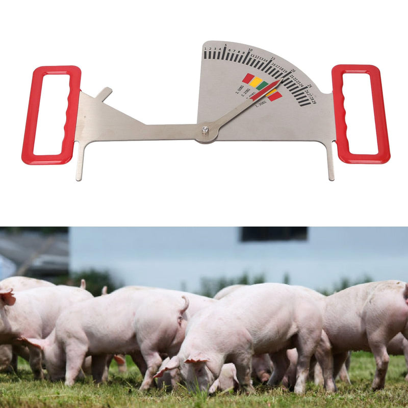 [Australia - AusPower] - Body Fat Caliper, Stainless Steel Feeding Management Ruler for Pregnant Sows, Accurate Measurement with 5 Intervals, Suitable for Farms, Easy to Operate, Improving Efficiency 