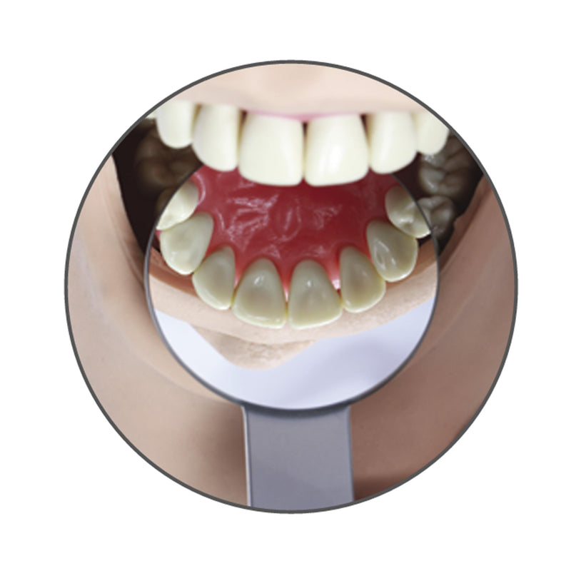 [Australia - AusPower] - Dental Front Surface Large Round Mouth Mirror, Diagnostic Instrument, DMEM - 43mm. 