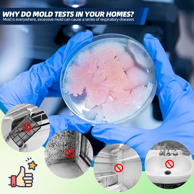 [Australia - AusPower] - Mold Test Kit for Home with 48hrs Results – 6 Rapid DIY Home Tests for Full Home, Air, Surfaces & HVAC Systems | No Lab Wait! Detection Kit (Gloves, Swabs, Bags) 6 Test Plates 