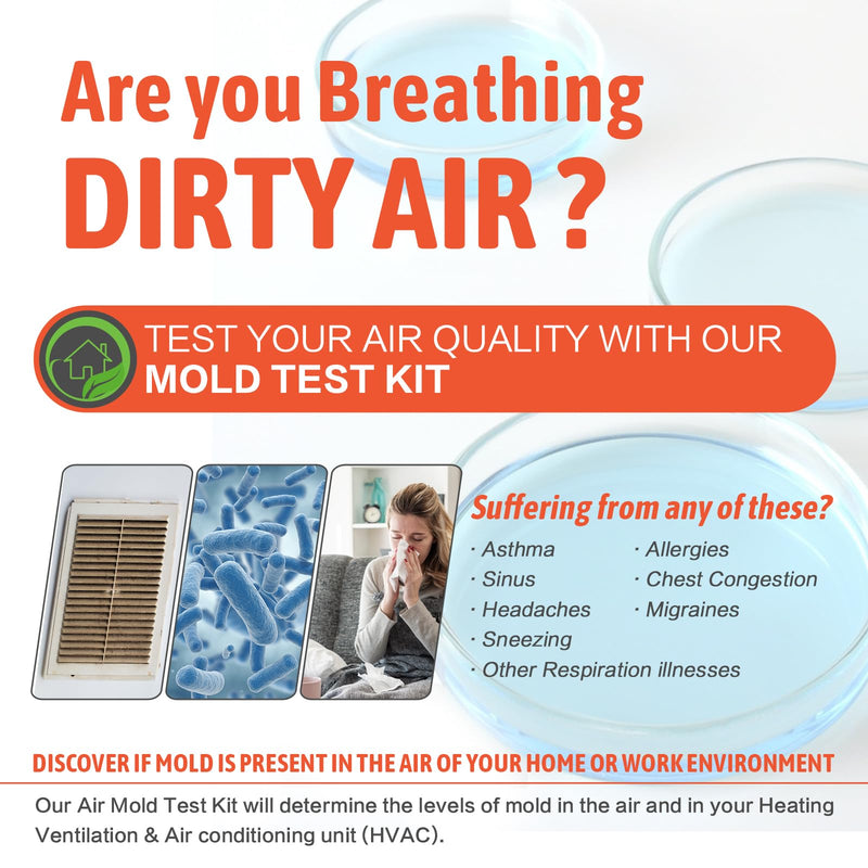 Mold Testing Kit for Home Air Quality - Test 10 Room, DIY Home Mold Detector Kit, Home Air & Surface, HVAC Indoor Quick Mold Testing Kit for Home, Identification & Remove Guide Included