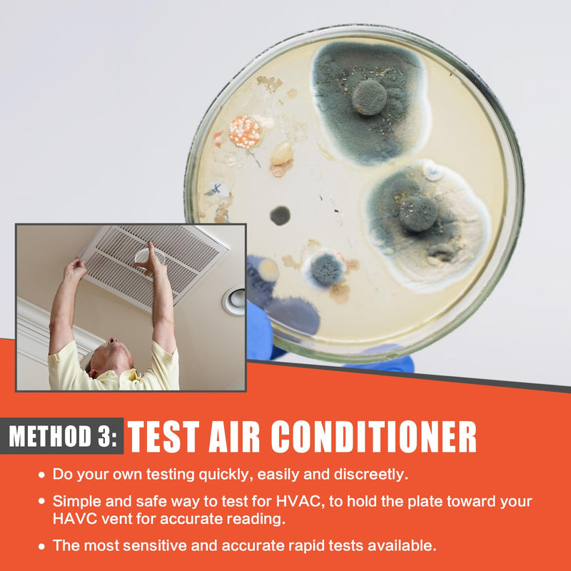 Mold Testing Kit for Home Air Quality - Test 10 Room, DIY Home Mold Detector Kit, Home Air & Surface, HVAC Indoor Quick Mold Testing Kit for Home, Identification & Remove Guide Included