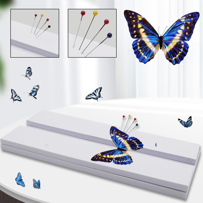 [Australia - AusPower] - Insect Pinning Board, EVA Insect Specimen Plates, Butterfly Mounting Spreading Board, Insect Display Case Box for Science Education 