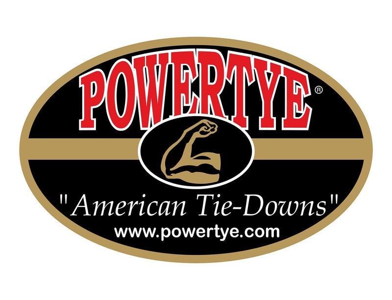 [Australia - AusPower] - PowerTye 1.5in x 4ft Special Edition Heavy-Duty Lashing Strap with Heavy-Duty Buckle - Made in USA - 300 lb. Working Load Limit - Black - 2-Pack Black + SE Black Buckle 
