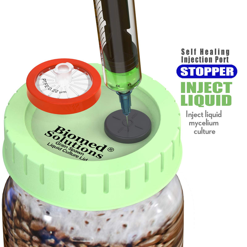 [Australia - AusPower] - 6 x Mushroom Culture Lids Regular Mouth Lid with 0.2 Micron PTFE Syringe Filter and 20mm Self Healing Injection Ports for Mushroom Growing Mycology 