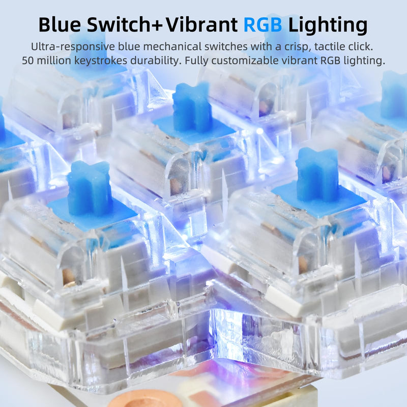 [Australia - AusPower] - BIGTREETECH HBB Fe Hot-Key Button Board Quick Control Keyboard with Preset Keys and RGB Lighting for Klipper Voron2.4/Trident/Switchwire 3D Printer Fit for BTT Pi 1/2 Manta M8P KNOMI, Transparent PCB 