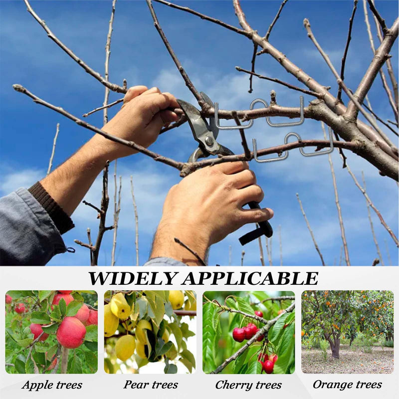 Branch Puller Holder for Fruit Branches, Fruit Tree Support Tools Set - 24 Pieces M-Shape Fruit Trees Support for Different Thicknesses of Branches, Fruit Trees Aesthetic Cultivation Tool