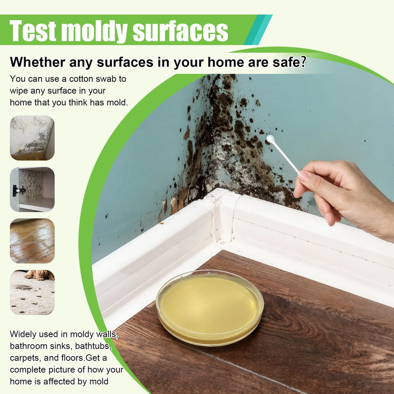 Mold Test Kit for Home - 6 Simple Detection Tests,Test HVAC System,Home Surfaces,&Indoor Air Quality Testing Kits,DIY black Mold Detector at Home,Includes Detailed Mold Identification Guide,air Tester