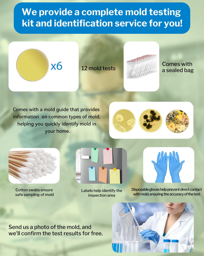 [Australia - AusPower] - Mold Test Kit for Home - 6 Detection Tests,DIY Test Kit for Indoor Air and Household Surface Detection, Includes Detailed Mold Identification Guide and Free Lab Analysis 