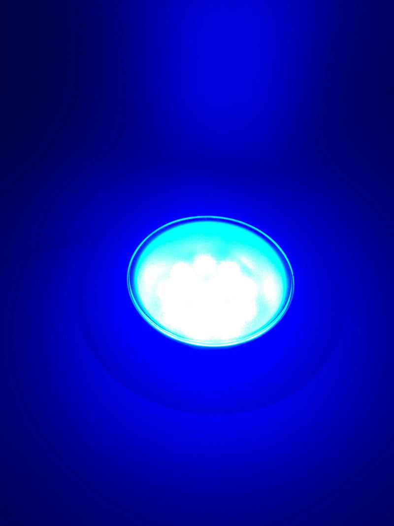 Pactrade Marine RV Boat Pontoon Red Green Blue White LED Courtesy Ceiling Light White Plastic Housing Glare Free Illumination Lens Energy Saving12V DC (Surface/Flush Mount) Surface / Flush Mount