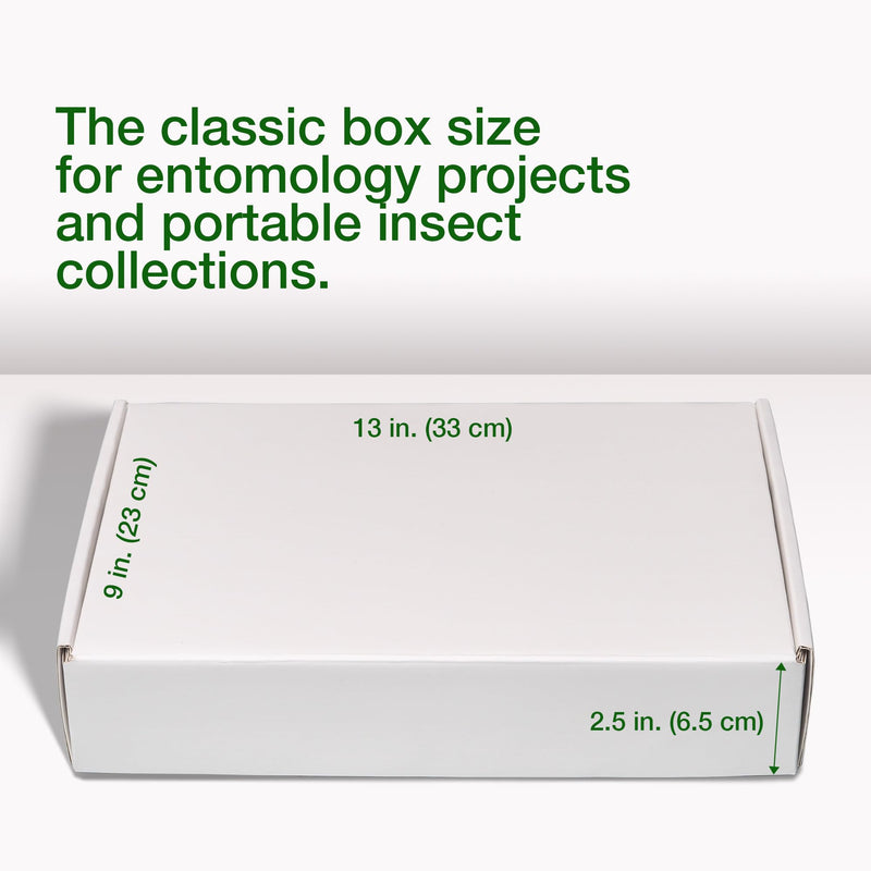 [Australia - AusPower] - Insect Pinning Box for Entomology | 13" x 9" x 2.5" | Includes White Foam to Hold Pins in Place | for Butterfly, Moth and Bug Collections and Specimen Displays 1 