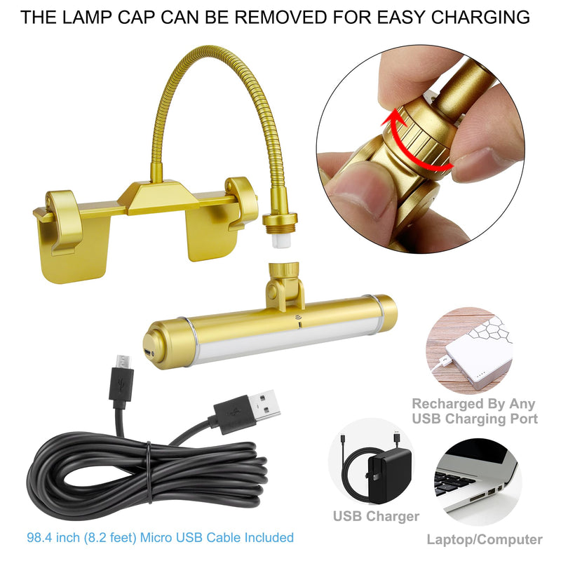 LUXSWAY Wireless Picture Frame Led Lighting,Rechargeable Art Display Lighting Clip on Pictures,Over Painting Lights with Remote,Artwork Lamp with Flexible Neck,28 LEDs 3 Lighting Modes 200LM-Gold G Gold Rechargeable-3 Mode-Flexible Neck