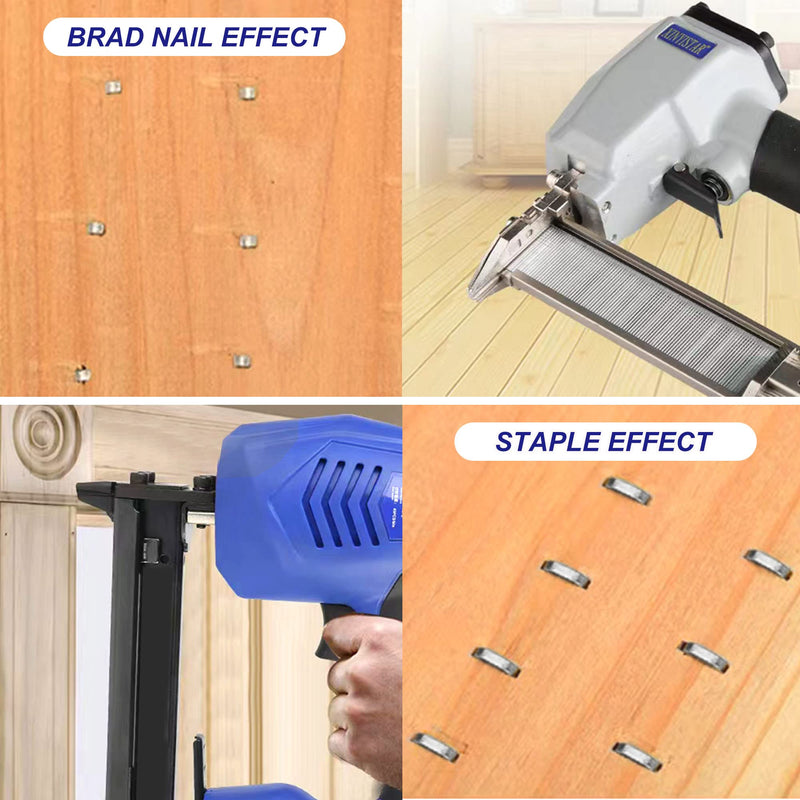 [Australia - AusPower] - 18 Gauge 1800PCS,1/4" Narrow Crown Staples (1/2"- 400; 3/4"- 400; 1"- 400) and Brad Nails (5/8"-300,3/4"-300), Suitable for Most Brand of 18 Gauge Stapler 