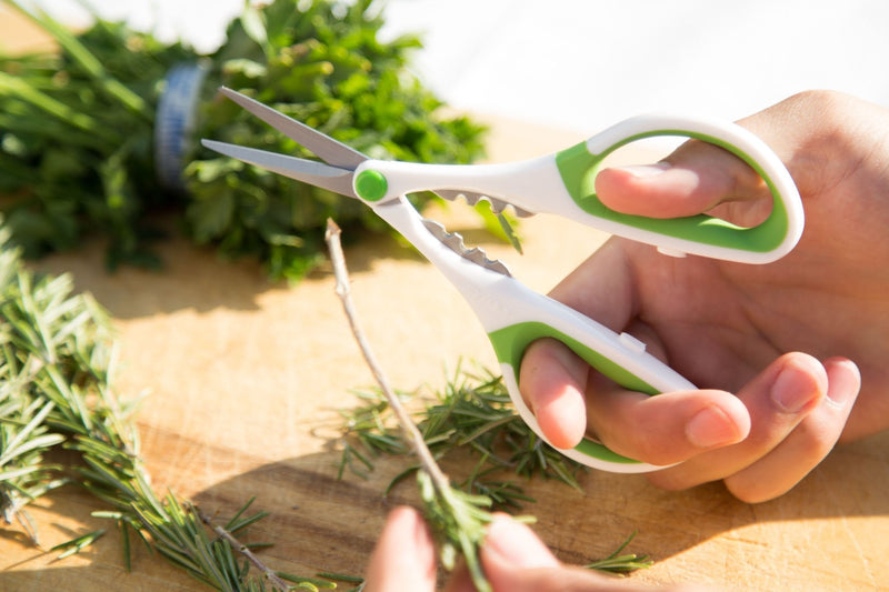 [Australia - AusPower] - Zyliss Heavy Duty Home & Kitchen Herb Shears Scissors with Innovative Stem Stripper, Versatile Kitchen Shears for Trimming Weeds, Flower Buds & More - White/Green - 8.5 x 4.2 x 0.4 inches Herb Snippers 