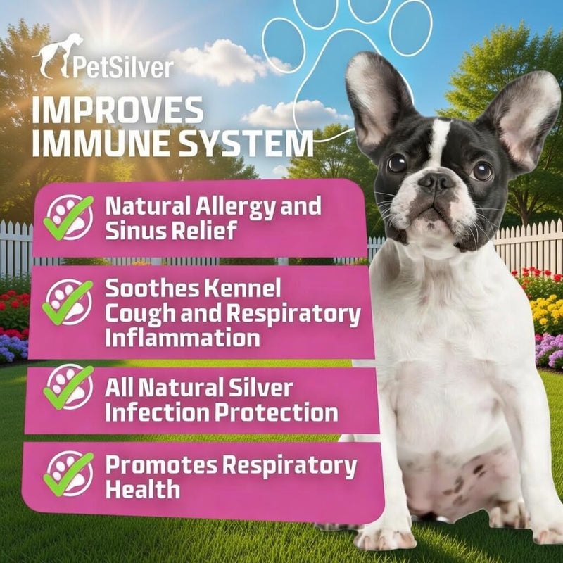 [Australia - AusPower] - PetSilver Immune Support, Natural Nebulizer Solution, Promotes Respiratory Health in Cats & Dogs, Allergies, Sinus & Cough Treatment, Easy to Use, Patented Chelated Silver, Made in the USA, 16 fl oz 