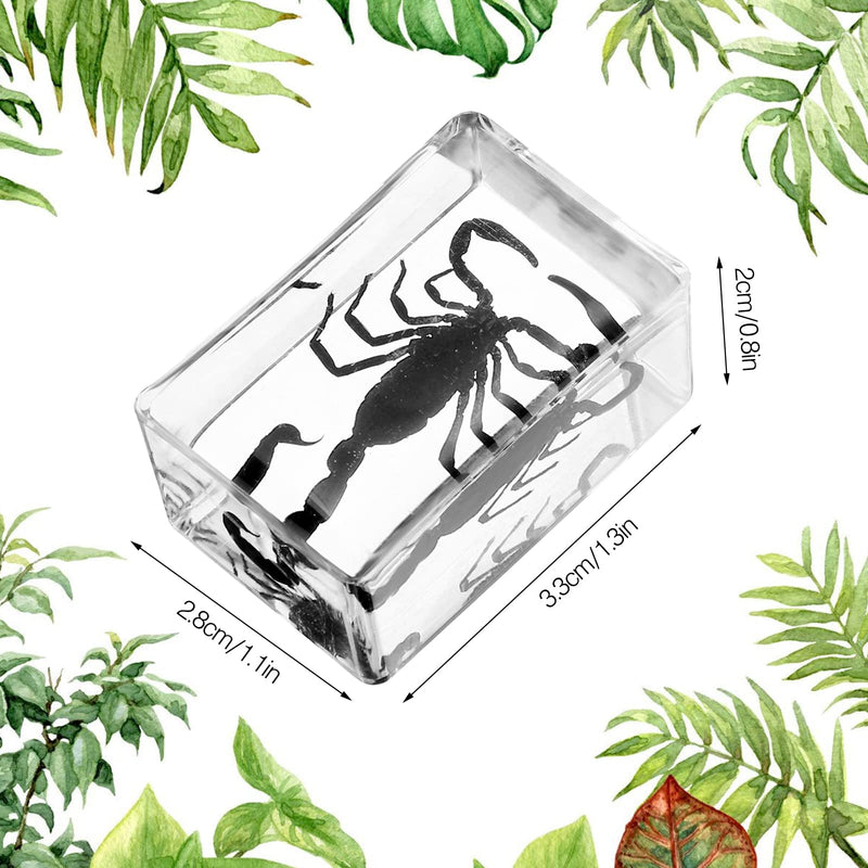 [Australia - AusPower] - 20 Pcs Insect in Resin Bug Preserved Specimen Collection Paperweights Resin Insects Various Insect Specimen for Office Men Women Biology Science Teacher Education Bug Collection Supplies (Butterfly) Butterfly 