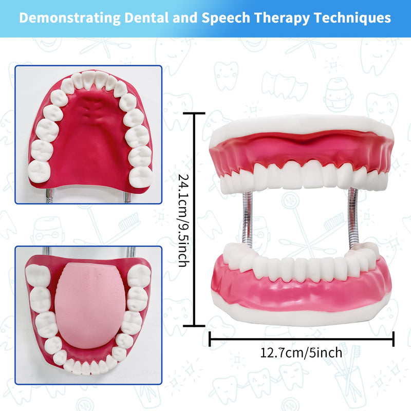 [Australia - AusPower] - Teeth Mouth Model 6X Enlarged with Metal Hinge, Complete Set Teeth and Removable Tongue, PVC Speech Therapy Tool, includes Toothbrush, Ideal for Brushing Teaching Dental Model and Language Education 
