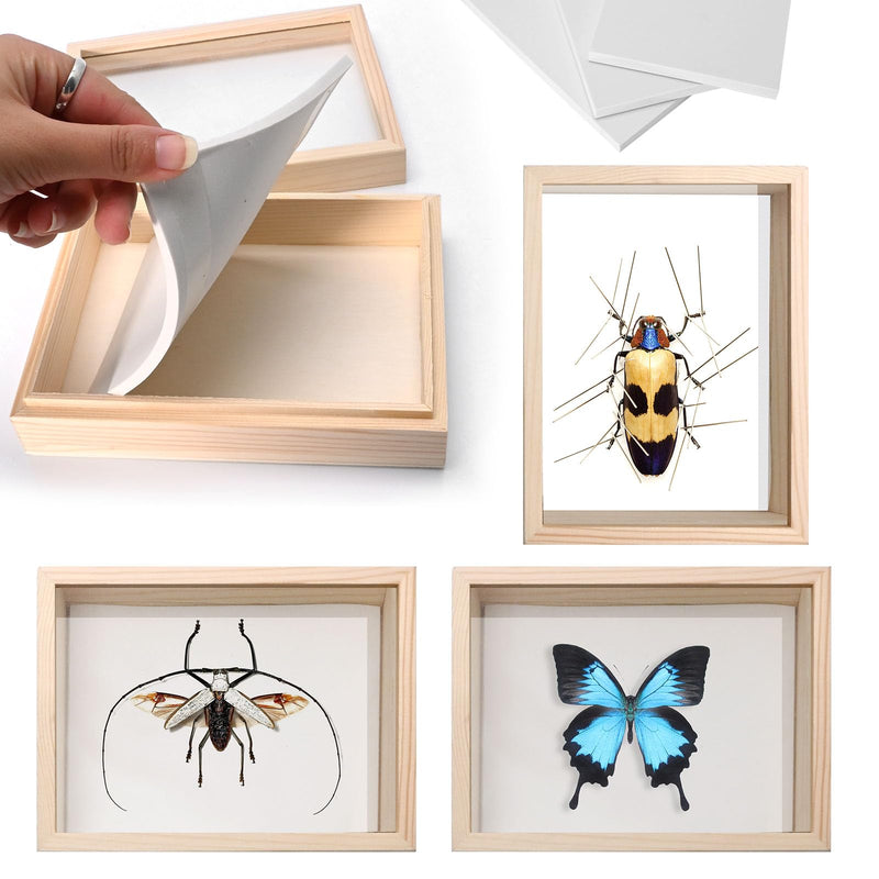 [Australia - AusPower] - 3Pcs Insect Pinning Board Specimen Display Panel EVA Foam Boards, Specimen Spreading Board Butterfly Spreading Wings for Science Education Project/Bugs Collection 