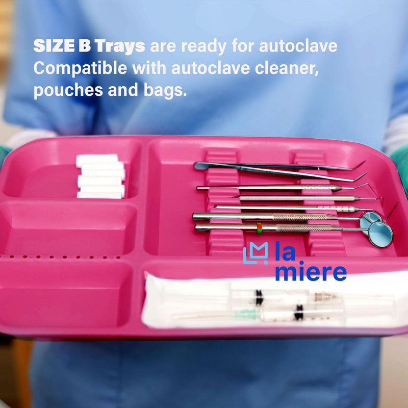 [Australia - AusPower] - Dental Instrument Divided Tray, Autoclavable Divided Setup Tray, Divided Separate B-Lok Divided Tray, Size B (Ritter) - Plastic, 13-3/8" x 9-5/8" x 7/8" (1, Camellia Pink) 1 