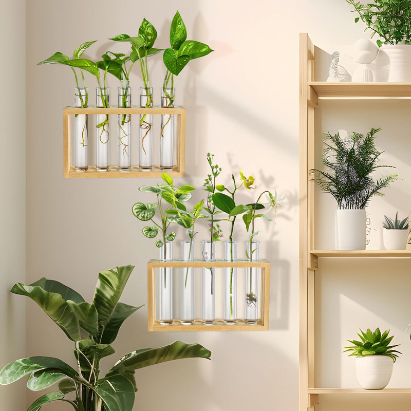 32 pcs Clear Plant Propagation Tubes 20ml Plastic Test Tubes for Scientific Experiments Sample Testing, Round Bottom Test Tube for Home Office Desktop Decoration Bead Party Candy Storage 32