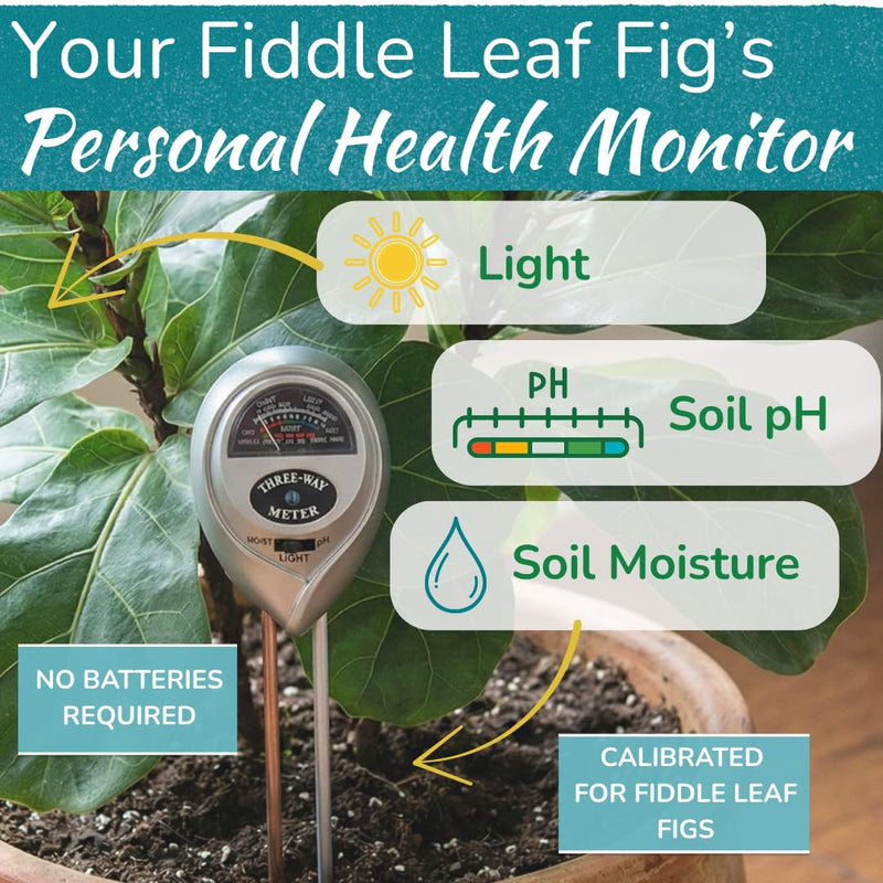 [Australia - AusPower] - Houseplant Resource Center Fiddle Leaf Fig 3-in-1 Soil Moisture Meter for Plants – Best Indoor Plant Water Meter for Potted Houseplants - Light & Moisture Sensor Probe for Optimal Growth 
