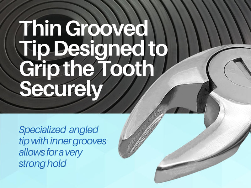 [Australia - AusPower] - Dental Extraction Forceps (Lower Anterior for Roots #33) Lower Anterior For Roots 