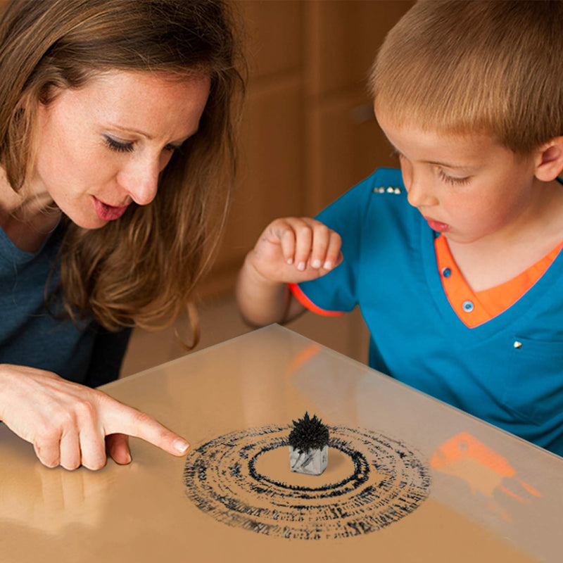 [Australia - AusPower] - DAILYLIFE Iron Powder Iron Filings for Science Experiments, 1 Pound (16 Ounces) Magnetic Sand with 4 Magnets for Magnetic Field School Project, Metal Shavings Iron Oxide Powder Children Toys 