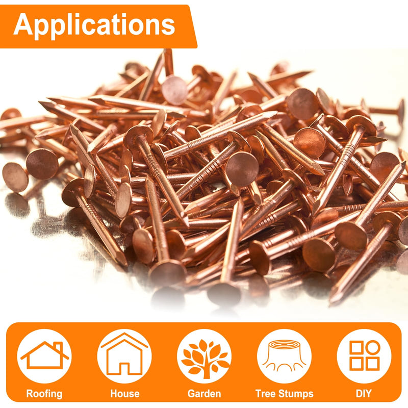 1 Inch Copper Nails, 250Pcs, 99.9% Pure Copper Nail for Roofing Finish, Furniture, Boat, Stump Remover, Industry, DIY Length: 1 Inch x 250 PCS x Dia. : 0.12 Inch